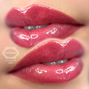 Lip Blush Course