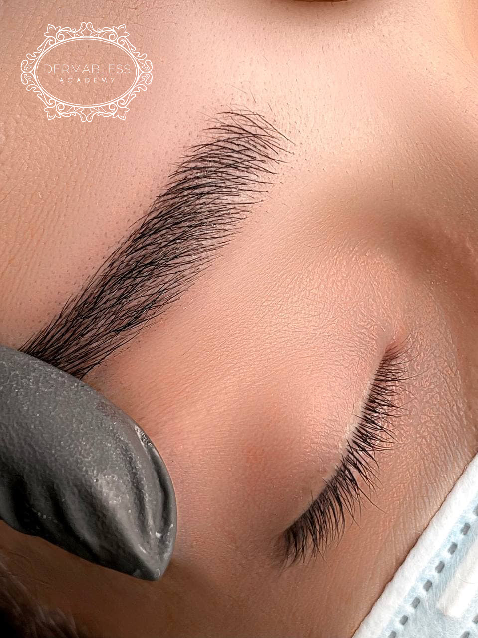 Hybrid Brows Course